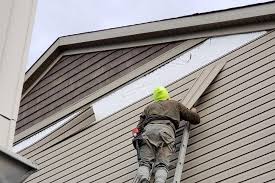 Best Insulated Siding Installation  in Union City, IN